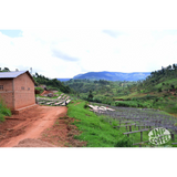 Burundi Muyinga Gashoho Natural