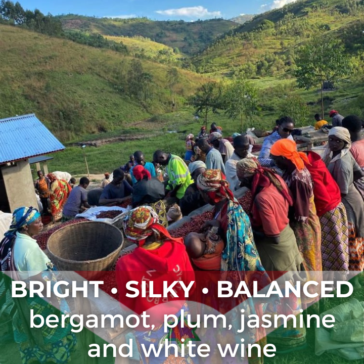 Burundi Ngozi Bahire Washed