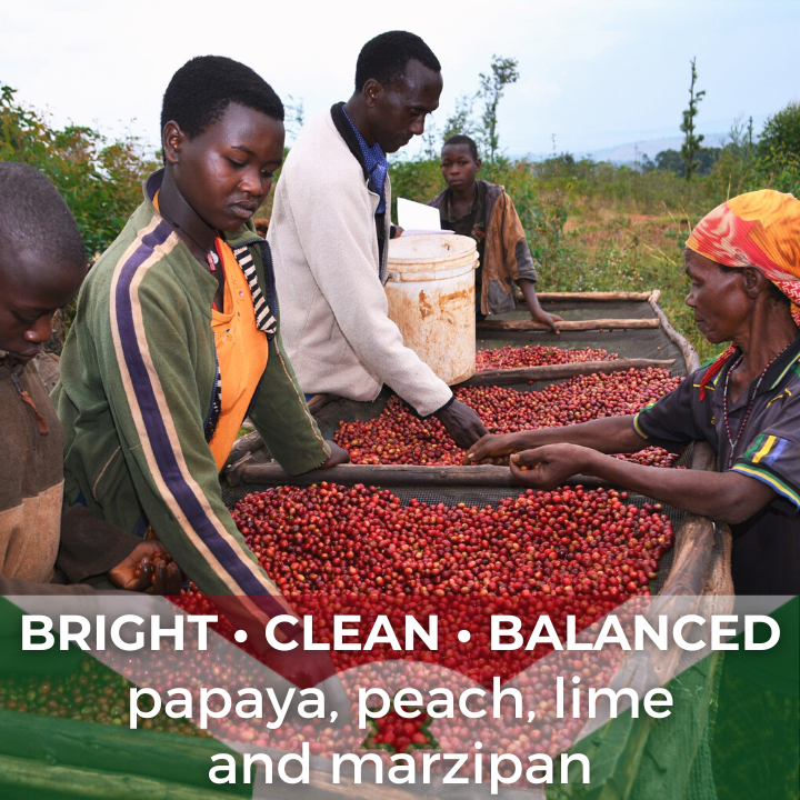 Burundi Ubuto-Karuzi Washed