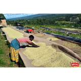 Burundi Ubuto-Karuzi Washed