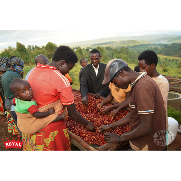 Burundi Ubuto-Karuzi Washed