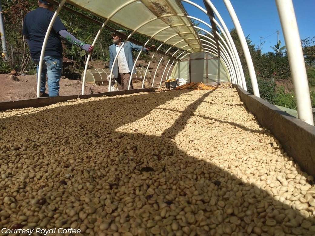 Colombia Cesár El Rubi Estate Organic