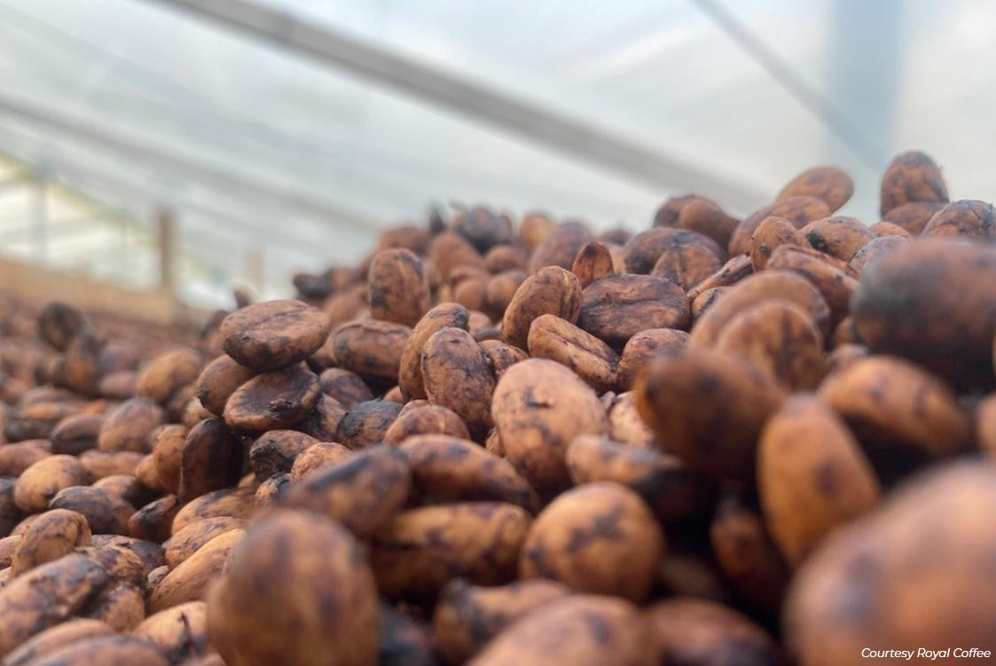 Colombia El Alquimista Red Honey Pink Bourbon