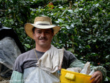 Colombia Valle Del Cauca la Esperanza Estate