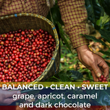 Colombia Huila Mistico Bourbon