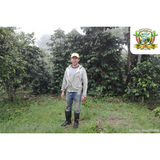 Colombia Huila Pitalito El Bombo Organic