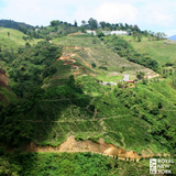 Colombia Risaralda Supremo