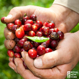 Colombia Risaralda Supremo