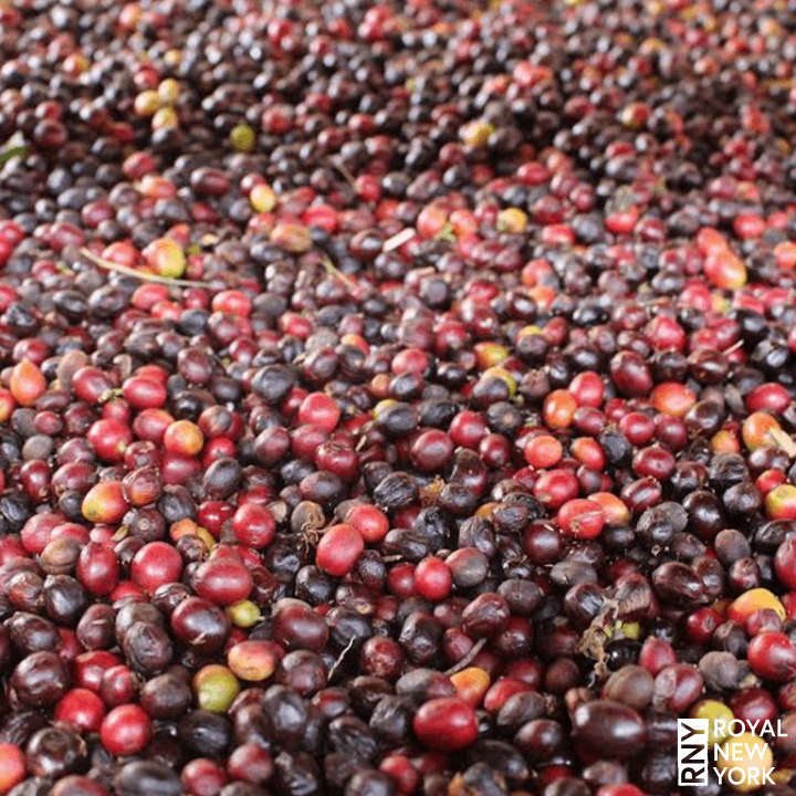 Colombia Risaralda Supremo