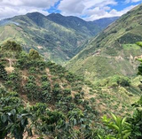 Colombia Huila Naranjales Estate