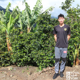 Colombia Nariño Hamilton Domingues Honey