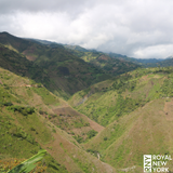 Colombia Nariño Hamilton Domingues Honey