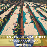 Ethiopia Yirgacheffe Gedeb Wuri Grade Zero