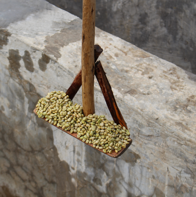 Ethiopia Yirgacheffe GERA Estate Natural