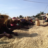 Ethiopia Yirgacheffe Aricha Natural