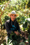 Guatemala Atitlan Finca San Jose Del Lago Bourbon