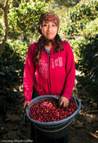 Guatemala Atitlan Finca San Jose Del Lago Bourbon