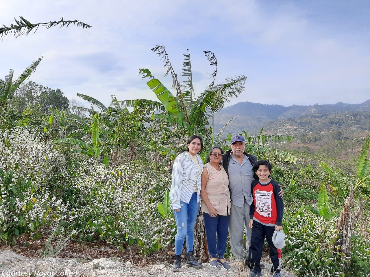 Guatemala Finca Linda Vista Gesha