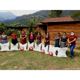 Guatemala Huehuetenango Cafe de Mujeres Organic