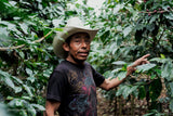 Honduras Catracha Isidoro Sanchez Microlot