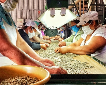 Honduras Marcala RAOS Organic