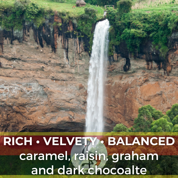 Uganda Sipi Falls Washed Organic