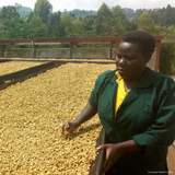 Uganda Sipi Falls Washed Organic