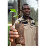 Uganda Sipi Falls Washed Organic