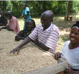 Uganda Bukonzo Organic