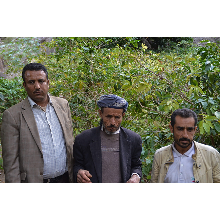 Yemen Mocca Pearl of Tehama Natural