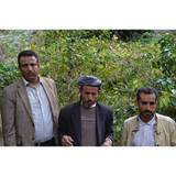 Yemen Mocca Pearl of Tehama Natural