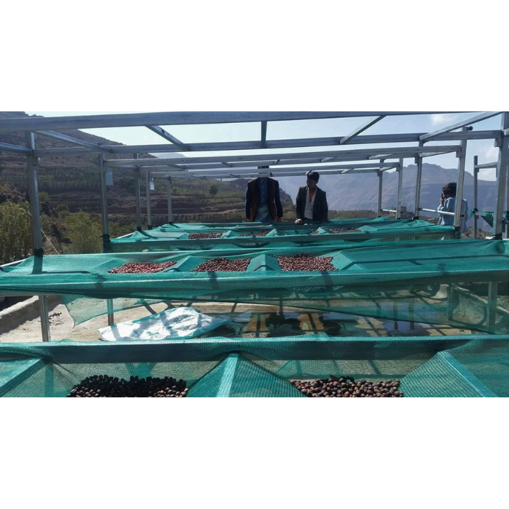 Yemen Mocca Pearl of Tehama Natural