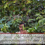 Yemen Mocca Pearl of Tehama Natural