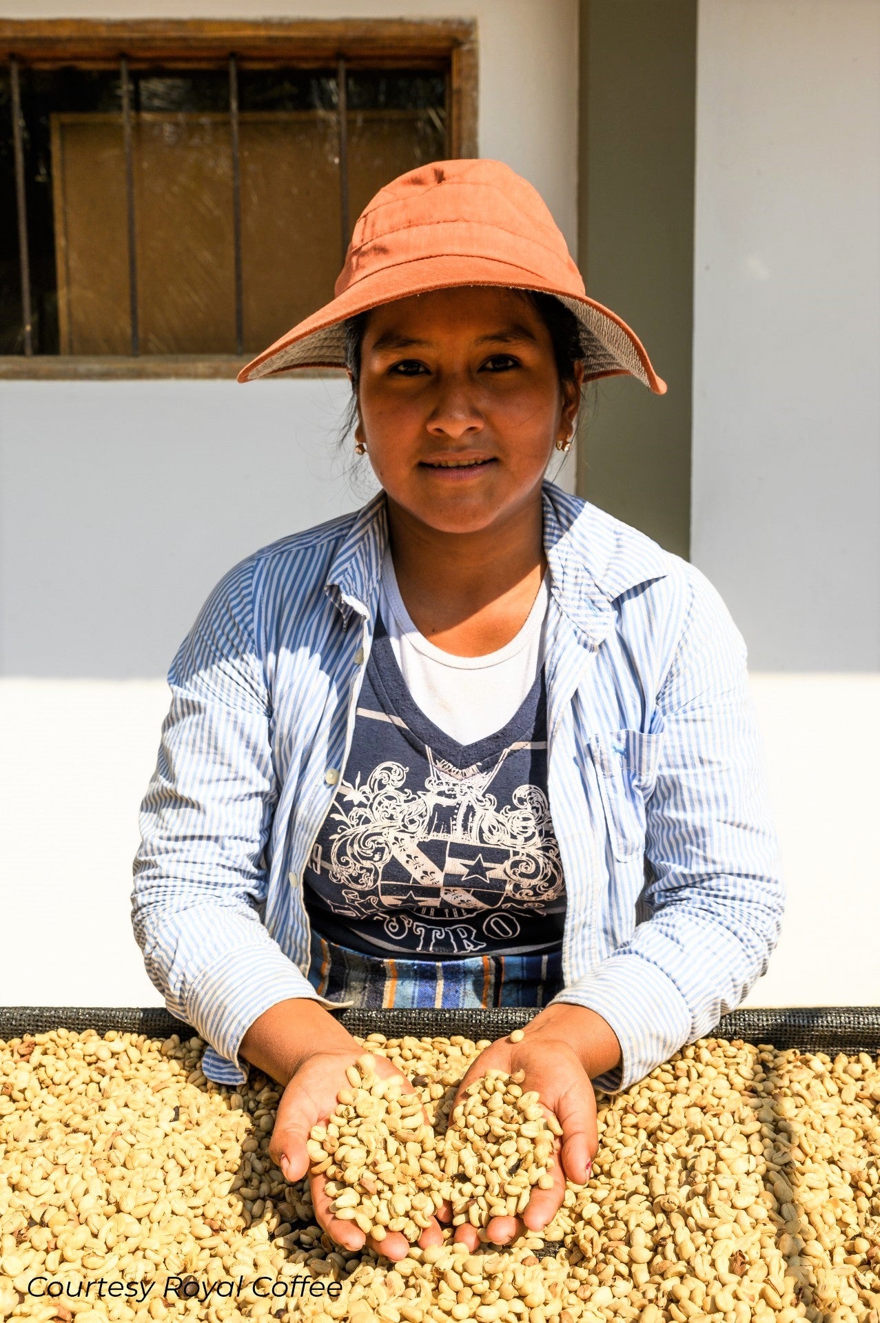 Bolivia Caranavi Peaberry Organic