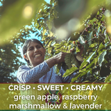 Bolivia Caranavi San Juan Organic
