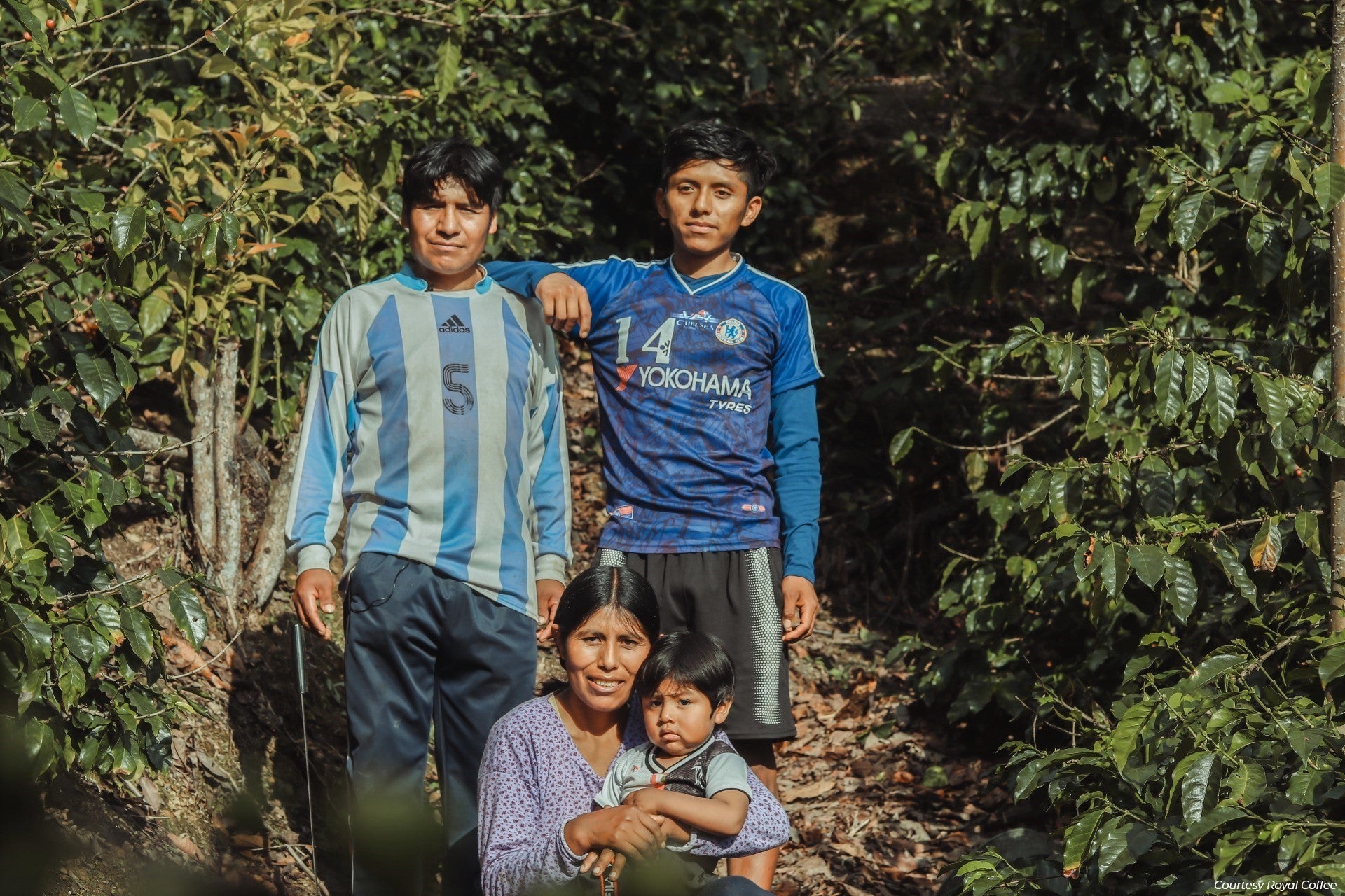 Bolivia Caranavi San Juan Organic