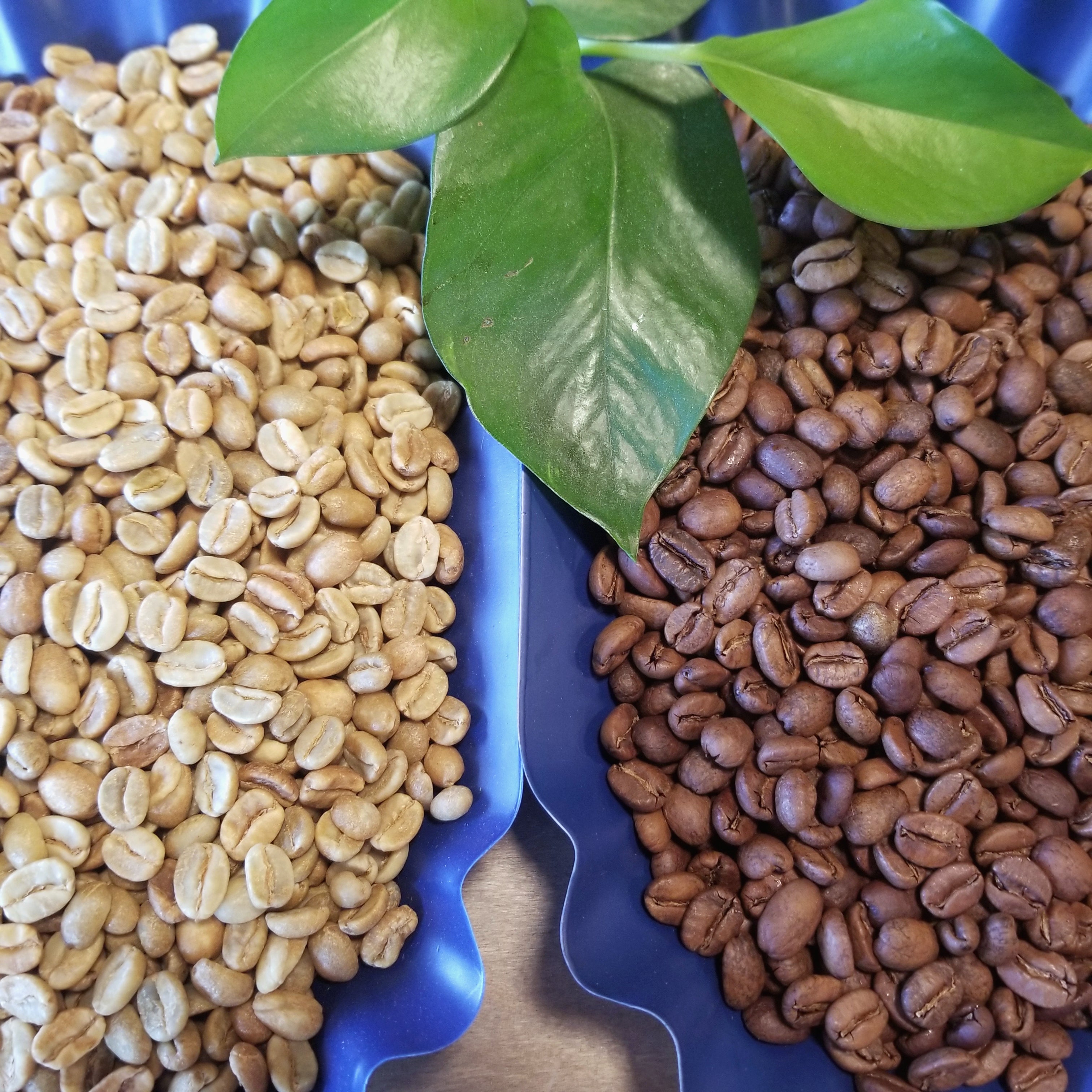 Colombia Huila Finca Las Mandarinas Anaerobic Natural Caturra