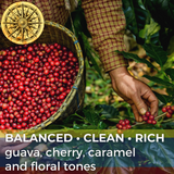 Colombia Huila Aguazul Pink Bourbon