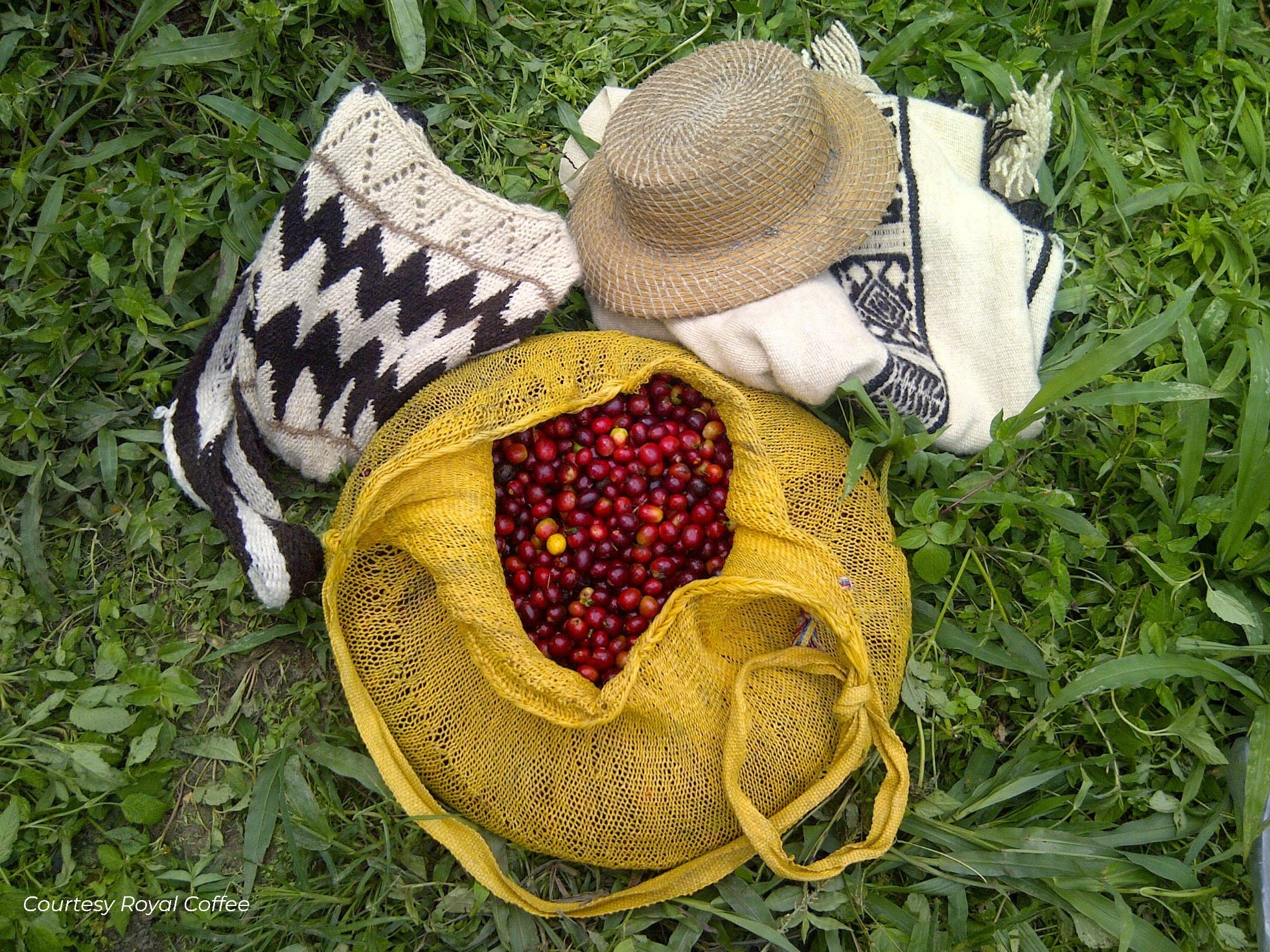 Colombia Tolima Indigenas de San Pedro Organic