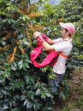 Colombia Tolima Planadas Organic