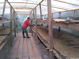 Colombia Tolima Planadas Organic