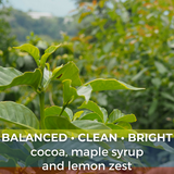 Colombia Royal Select WP Decaf
