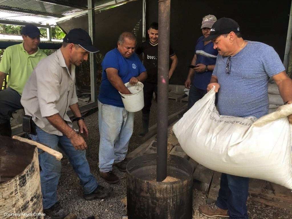 Costa Rica Perez Zeledon Organic