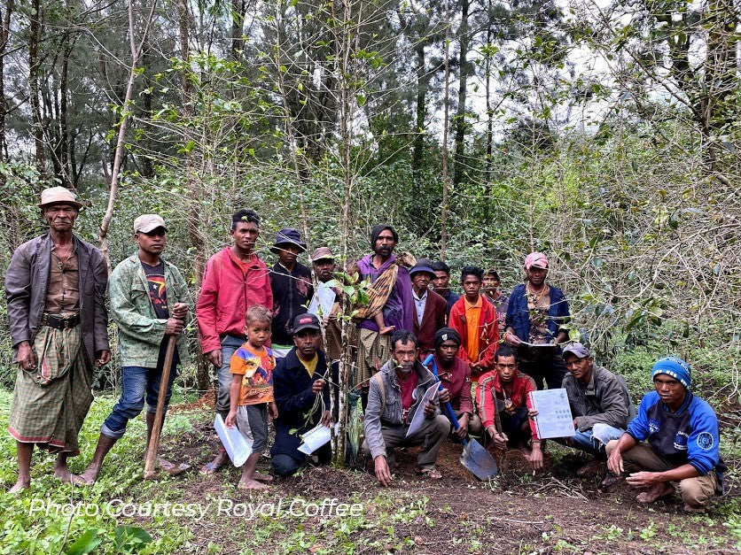 East Timor Ermera Eratoi Organic