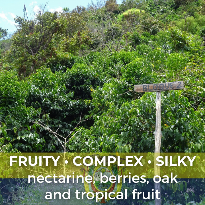 Ecuador Hacienda la Papaya Oak Barrel Typica Natural