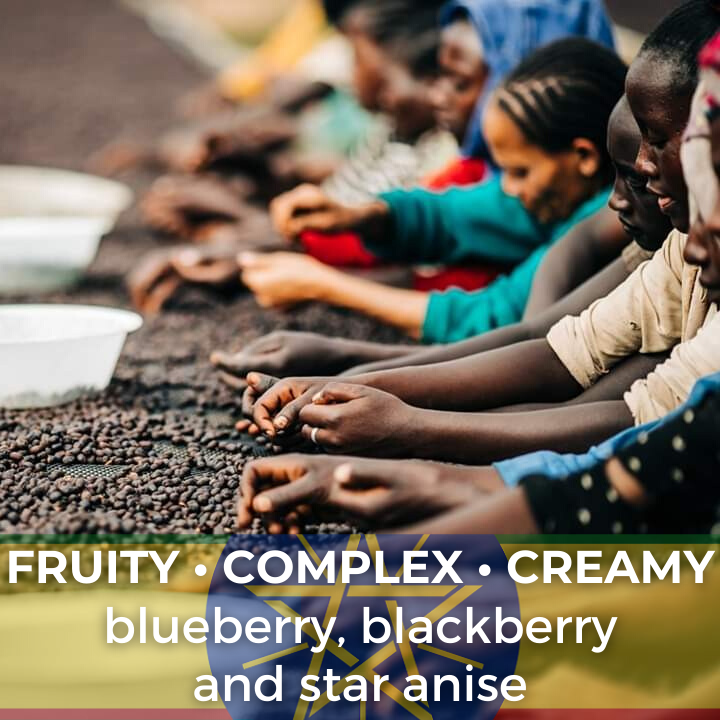 Ethiopia Sidama Bombe Abdosh Natural Organic