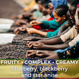 Ethiopia Sidama Bombe Abdosh Natural Organic
