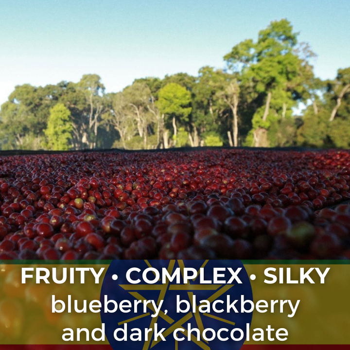 Ethiopia Yirgacheffe Banko Taratu Natural