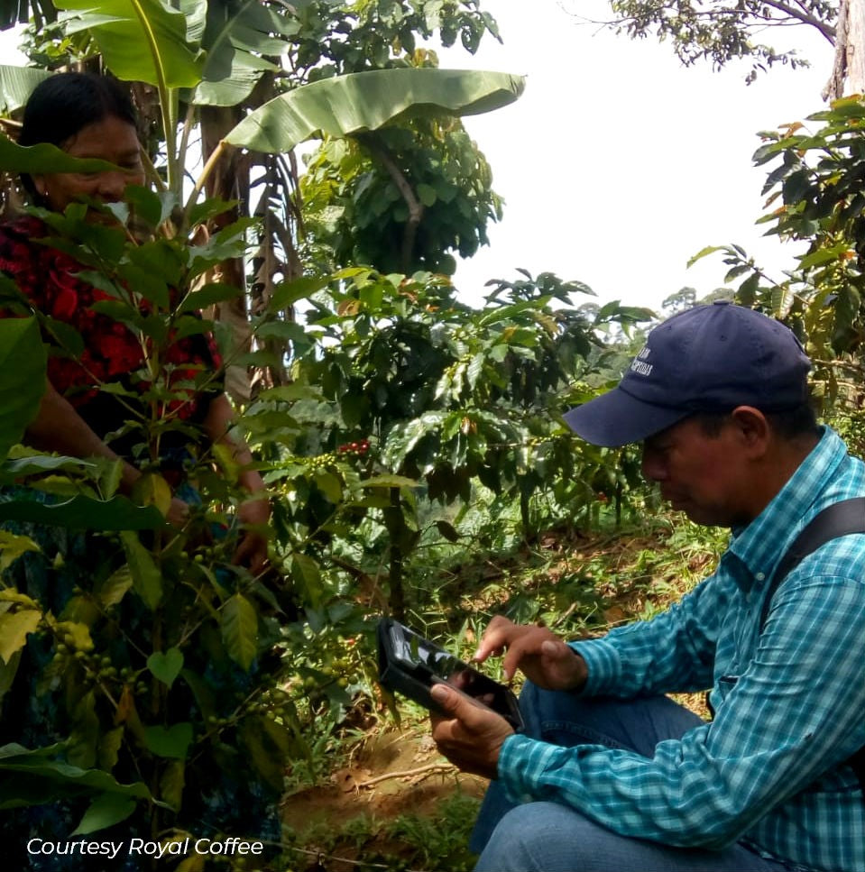 Guatemala Manos Campesinas San Marcos Organic