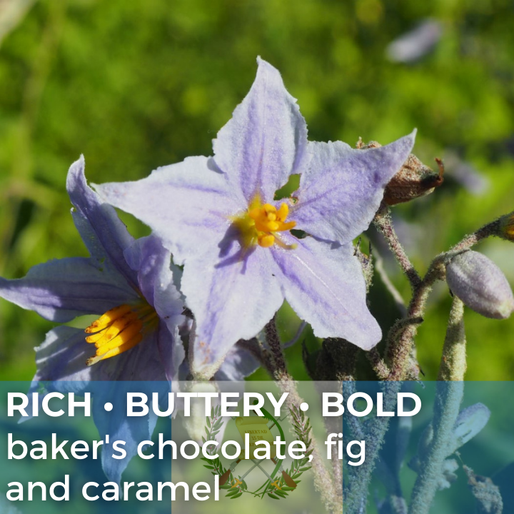 Guatemala Huehuetenango Rio Azul